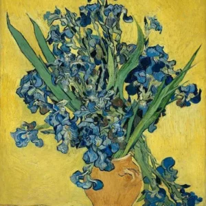 Vincent van Gogh Irises Poster 1889 Wall Art Painting