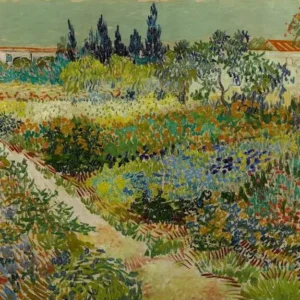 Vincent van Gogh Garden at Arles Poster 1888 Wall Art Painting