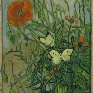 Vincent van Gogh Butterflies and Poppies Poster 1888 Wall Art Painting
