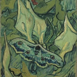 Vincent van Gogh Giant Peacock Moth Poster 1888 Wall Art Painting
