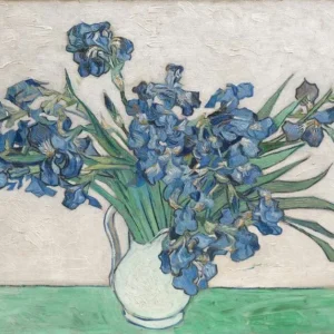 Vincent van Gogh Irises Poster 1889 V2 Wall Art Painting