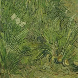Vincent van Gogh Garden with Butterflies Poster 1888 Wall Art Painting