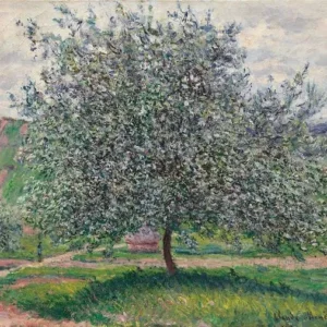 Claude Monet The Apple Tree Poster 1879 Wall Art Painting