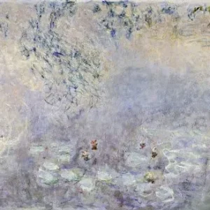 Claude Monet The Water Lily Pond with Irises Poster 1900 Wall Art Painting