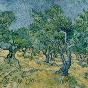 Vincent van Gogh Olive Grove Poster 1889 V2 Wall Art Painting