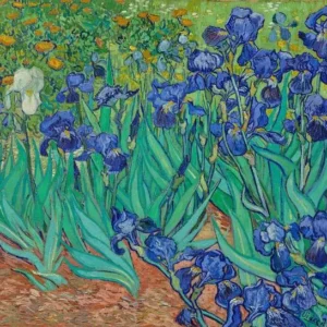 Vincent van Gogh Irises Poster 1889 V3 Wall Art Painting
