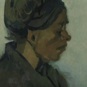Vincent van Gogh Head of a Woman Poster 1885 V5 Wall Art Painting