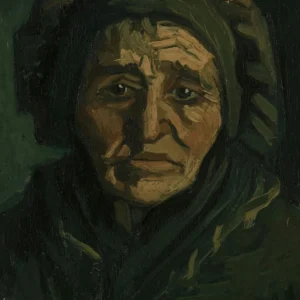 Vincent van Gogh Head of a Woman Poster 1885 V6 Wall Art Painting