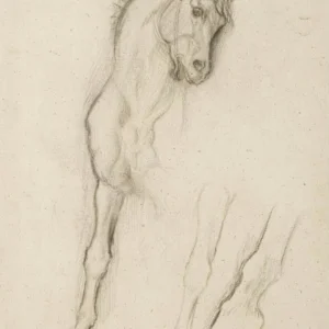 Edgar Degas Cheval Etude Pour Alexandre et Bucephale Poster 1880 Wall Art Painting