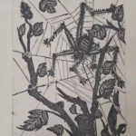 Pablo Picasso A aranha (ilustração para o livro História Natural de Le Buffon) Poster 1942 Wall Art Painting