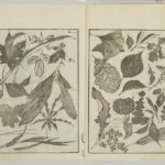 Katsushika Hokusai (Artist) Random Sketches by (manga) (Japanese (1760–1815 Copy 2) Poster Wall Art Painting