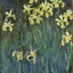 Claude Monet Yellow Irises Poster 1924 Wall Art Painting