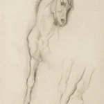 Edgar Degas Cheval Étude Pour Alexandre et Bucéphale 1880 Poster PrintOvly