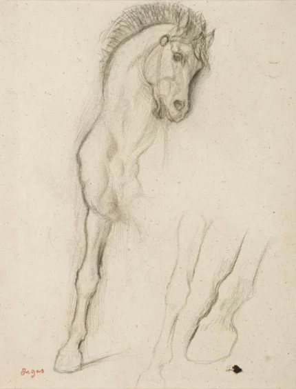 Edgar Degas Cheval Étude Pour Alexandre et Bucéphale 1880 Poster PrintOvly