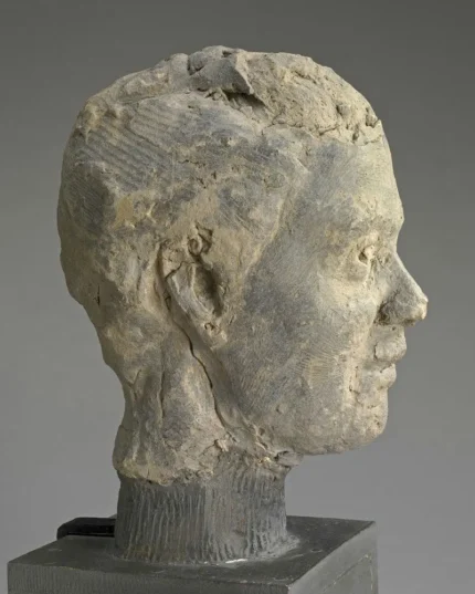 Edgar Degas Head Study for a Portrait of Mme Salle 1867 Poster PrintOvly