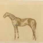Edgar Degas Horse 1866 Poster PrintOvly