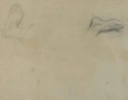 Edgar Degas Studies of Feet 1880 Poster PrintOvly