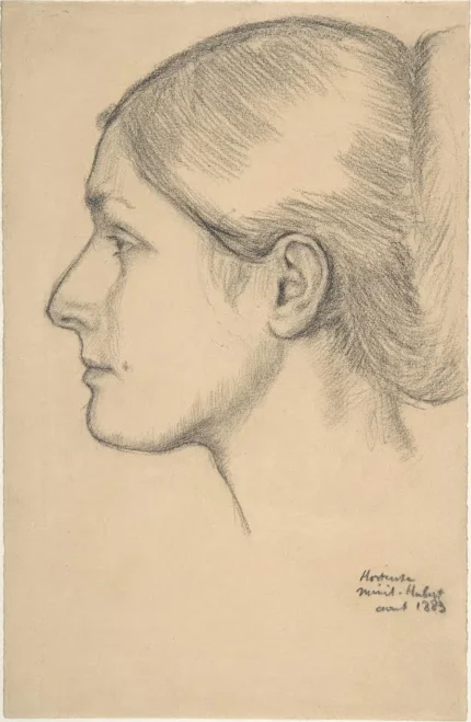 Edgar Degas Hortense Valpinçon Portrait of Hortense Valpinçon Poster 1883 Wall Art Painting