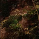 Gustav Klimt Forest Floor 1905 Poster PrintOvly