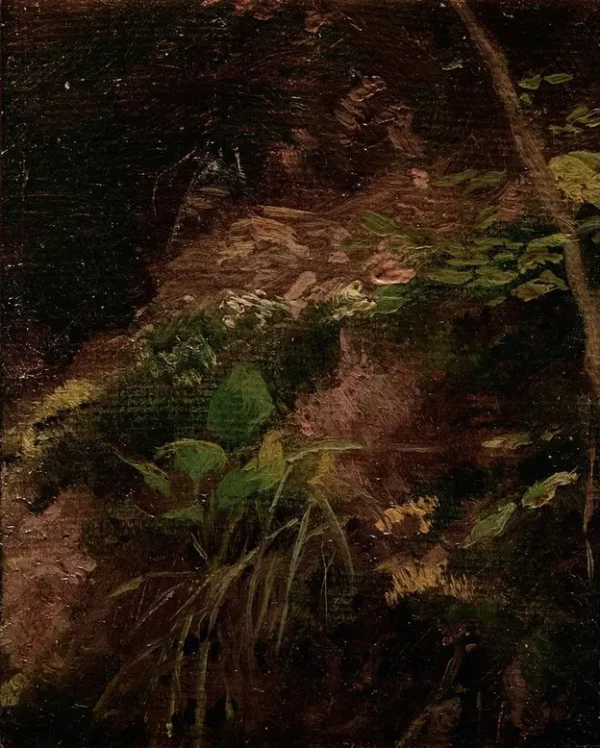 Gustav Klimt Forest Floor 1905 Poster PrintOvly