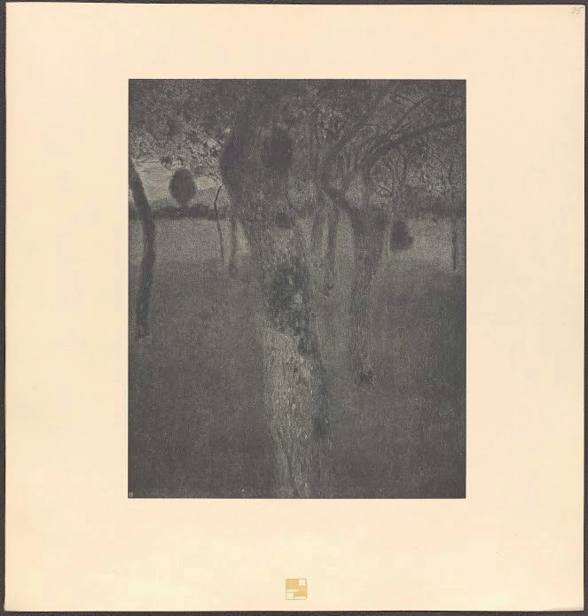 Gustav Klimt - Fruit Trees at the Attersee 35 of Gustav Klimt Poster 1905 Gustav Klimt Fruit Trees at the Attersee 35 of Gustav Klimt 1905 Poster PrintOvly