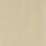 Gustav Klimt Skeleton Dressed in Long Gown (Study for Hope I) C 1905 Poster PrintOvly