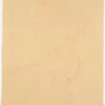 Gustav Klimt Studie Für Das Bildnis Sonja Knips ( 1905 Poster PrintOvly
