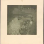 Gustav Klimt The Swamp According to Gustav Klimt 2 of Gustav Klimt 1905 Poster PrintOvly