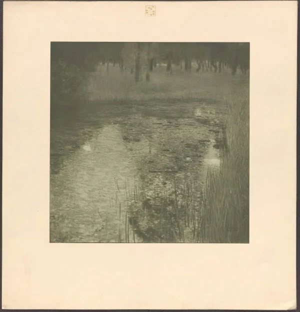 Gustav Klimt The Swamp According to Gustav Klimt 2 of Gustav Klimt 1905 Poster PrintOvly
