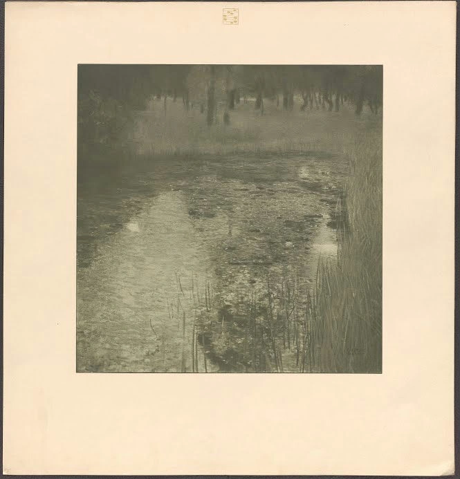 Gustav Klimt - The Swamp According to Gustav Klimt 2 of Gustav Klimt Poster 1905 Gustav Klimt The Swamp According to Gustav Klimt 2 of Gustav Klimt 1905 Poster PrintOvly