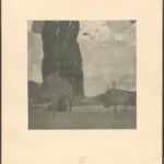 Gustav Klimt The High Poplar 4 of Gustav Klimt 1905 Poster PrintOvly