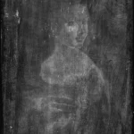 Leonardo da Vinci A Radiograph of the Painting Lady with an Ermine Poster 1489–1490 Wall Art Painting