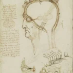 Leonardo da Vinci A Study of Clouds Poster 1518 Wall Art Painting