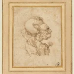 Leonardo da Vinci Grotesque Head of an Old Woman Poster 1500 Wall Art Painting