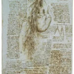Leonardo da Vinci R the Heart Bronchi and Bronchial Vessels Poster 1500 Wall Art Painting