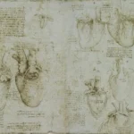 Leonardo da Vinci Recto the Ventricles Papillary Muscles and Tricuspid Valve Verso the Heart and Coronary Vessels Poster 1500 Wall Art Painting