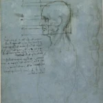 Leonardo da Vinci The Proportions of the Head and a Standing Nude Poster 1490 Wall Art Painting