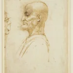 Leonardo da Vinci And V a Bearded Man in Profile Confronted by a Grotesque Profile C to Poster 1492 Wall Art Painting