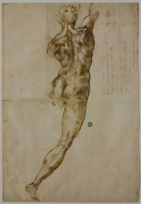 Michelangelo Back View of a Nude 1504 Poster PrintOvly