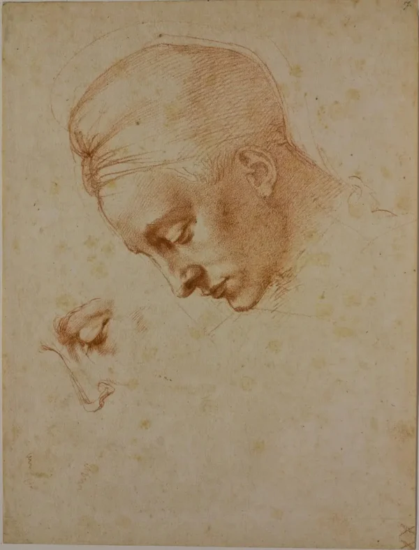 Michelangelo Studies for the Head of Leda 1530 Poster PrintOvly
