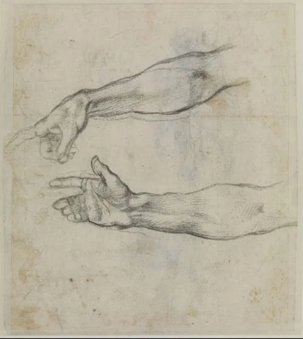 Michelangelo Studies of an Outstretched Arm (The Drunkenness of Noah) 1512 Poster PrintOvly