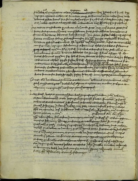 Leonardo da Vinci Protocol for the Years 1454 Poster PrintOvly