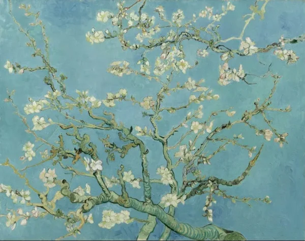 Vincent van Gogh Almond Blossom 1890 Poster PrintOvly