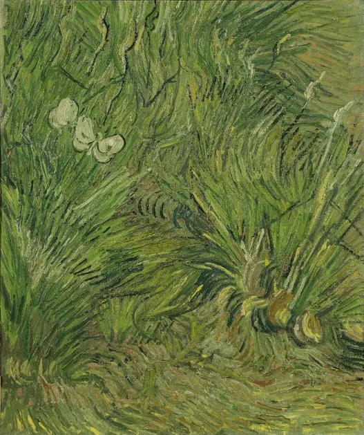 Vincent van Gogh Garden with butterflies 1889 Vincent van Gogh Garden with Butterflies Poster 1889 Wall Art Painting - Image 1