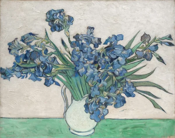 Vincent van Gogh Irises (1890) Poster PrintOvly
