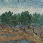 Vincent van Gogh Olive Grove (1889) Poster PrintOvly
