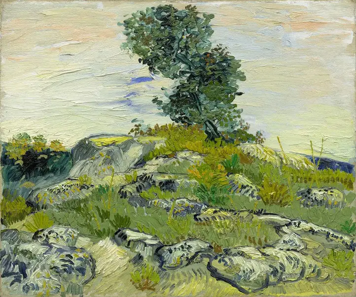 Vincent van Gogh The Rocks 1888 Poster PrintOvly