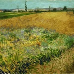 Vincent van Gogh Wheatfield 1888 Poster PrintOvly